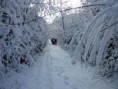 /album/fotogaleria-turistika/images-10-jpg/
